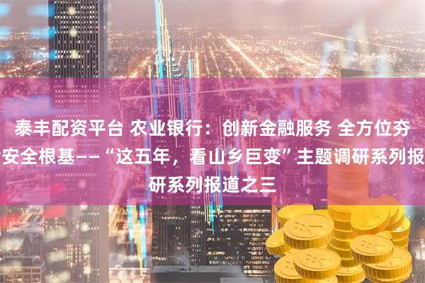 泰丰配资平台 农业银行：创新金融服务 全方位夯实粮食安全根基——“这五年，看山乡巨变”主题调研系列报道之三